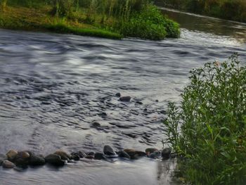 Stream flowing through a forest