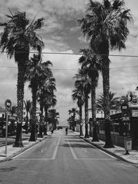 Street by palm trees against sky