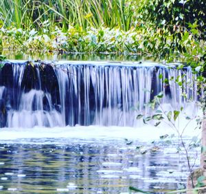 View of waterfall in forest