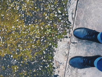 Low section of person standing on footpath