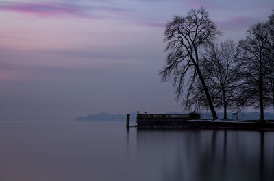 Silhouette trees by lake against sky during sunset