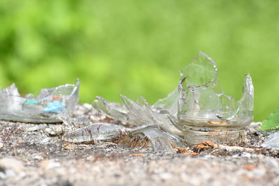 Close-up of broken glass on field