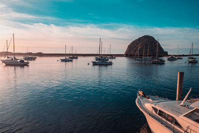 Sailboats moored in harbor