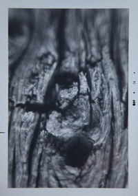 Close-up of object on wall