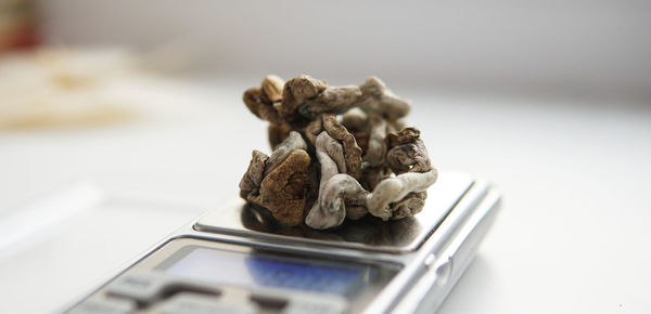 Close-up of mushrooms on table