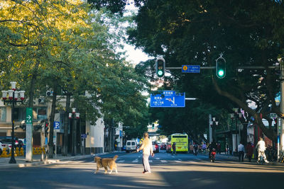 Road sign by trees in city