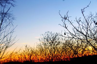 Silhouette bare trees on field against sky at sunset