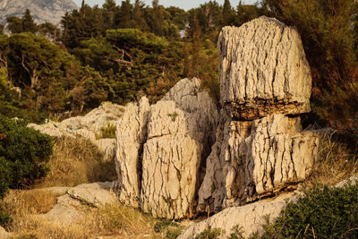 Rock formations on landscape