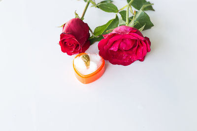 Close-up of rose bouquet against white background