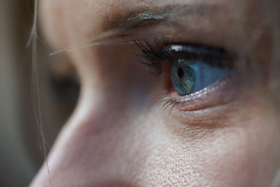 Close-up of human eye