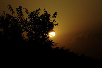 Low angle view of silhouette tree against sky during sunset