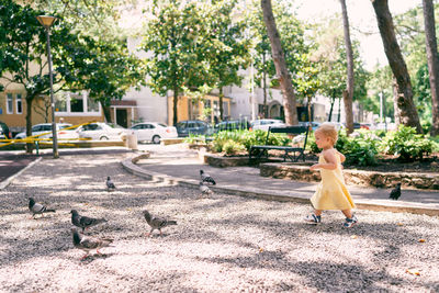 Boy by plants against trees