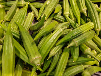 Top view of heap of okra, lady finger