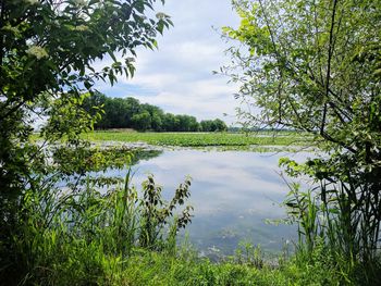 Scenic view of lake against sky