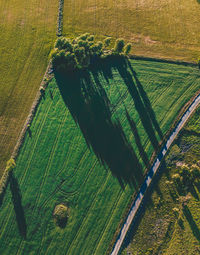 High angle view of agricultural field
