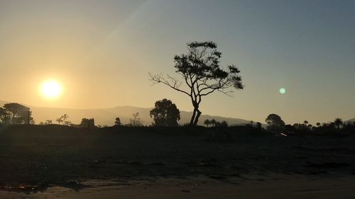 Silhouette trees on landscape against sky during sunset