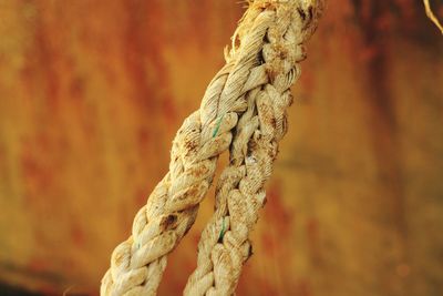 Close-up of rope