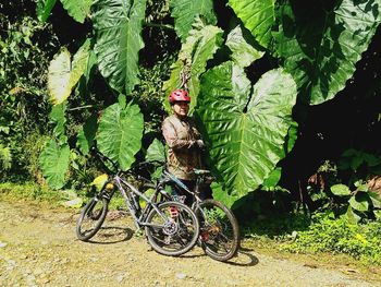 Bicycles on tree in field