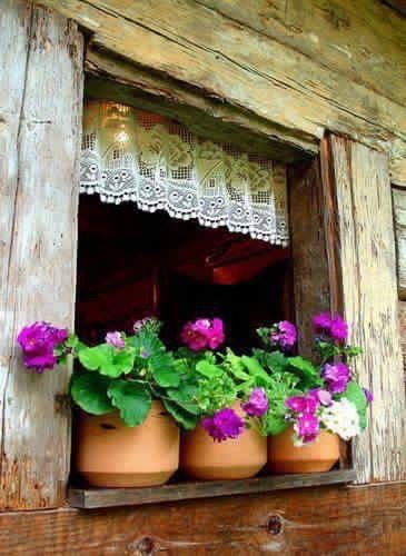 flower, indoors, freshness, wood - material, fragility, potted plant, plant, decoration, house, architecture, built structure, window, growth, variation, vase, no people, bouquet, petal, nature, arrangement