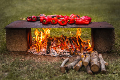 Close-up of food