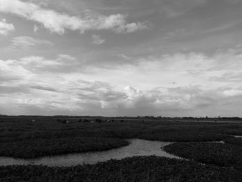 Surface level of countryside landscape against cloudy sky