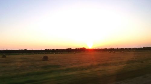 Scenic view of rural landscape