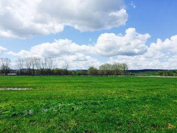 Scenic view of grassy field against sky