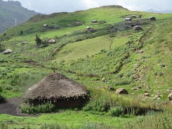 Scenic view of field against mountain