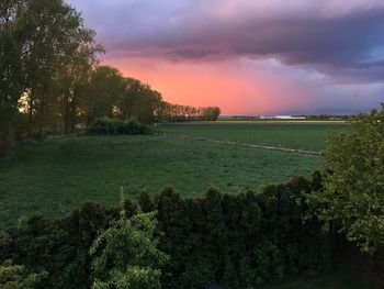 Scenic view of field against sky during sunset