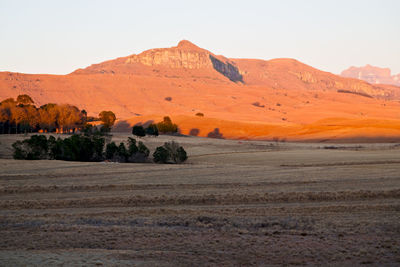 Scenic view of field against clear sky