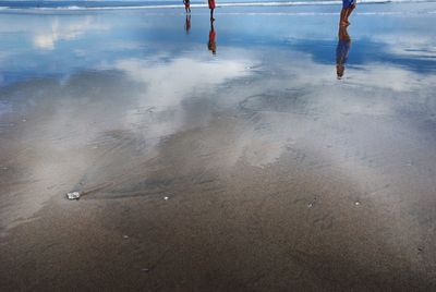 Low section of people walking on wet beach