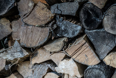 Full frame shot of logs in forest