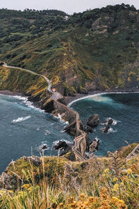 High angle view of plants on land against sea