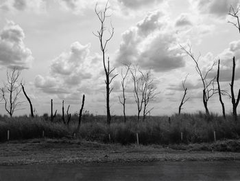 Bare trees on landscape against clouds