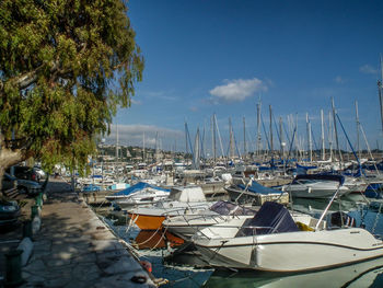 Sailboats moored at harbor against sky