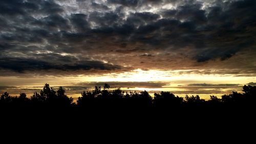 Silhouette trees against dramatic sky during sunset