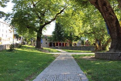 Footpath in park