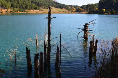 Scenic view of lake