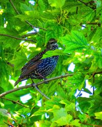 Bird perching on a tree