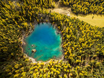 High angle view of trees on landscape