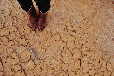 Low section of woman standing on dry ground