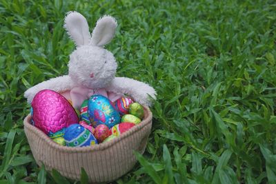 Close-up of easter bunny with eggs in basket on grassy field