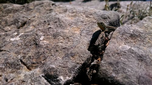Close-up of rocks
