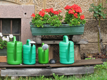 Potted plants on the wall