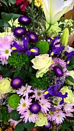 Close-up of purple flowers blooming outdoors