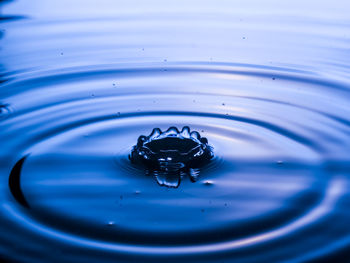 High angle view of drop falling on blue water