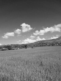 Scenic view of field against sky