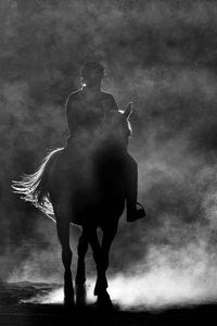 Silhouette girl riding horse on land