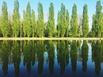 Reflection of trees in lake against sky