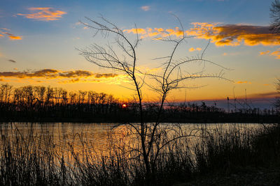 Silhouette plants by lake against sky during sunset